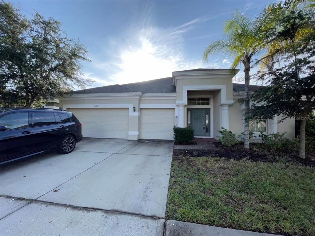 PANTHER TRACE - фото