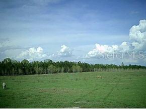 High Springs Highlands