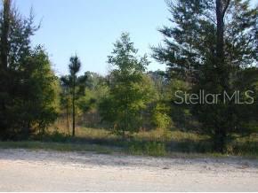 Santa Fe River Estates