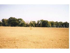 Cinnamon Hills Estates