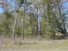 Cinnamon Hills Estates