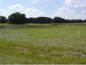 Cinnamon Hills Estates