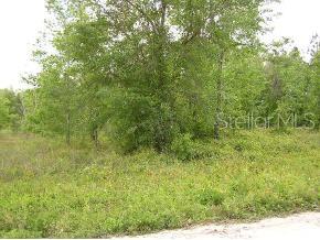 Mill Creek - фото