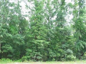 High Springs Estates