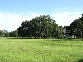 Cinnamon Hills Estates