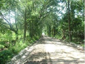 Not In Subdivision - фото