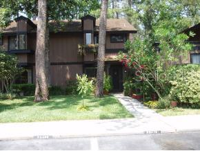 Forest Of The Unicorn