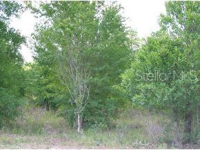 Santa Fe River Estates