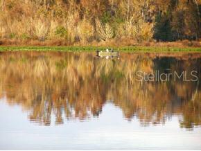 Four Lakes Community