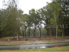 Santa Fe Forest(885)