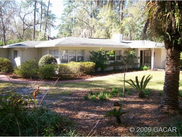 Pinedell - фотография Pinedell - фото