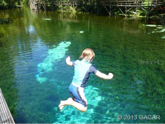 Not In Subdivision - фото