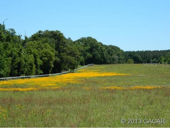 Cinnamon Hills Estates