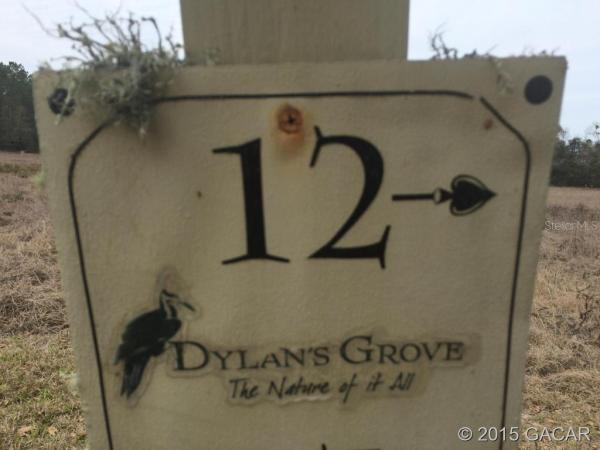 Dylans Grove