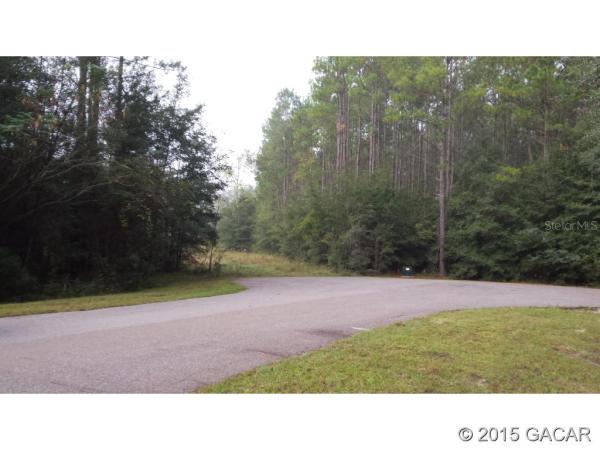 Santa Fe Forest(885)