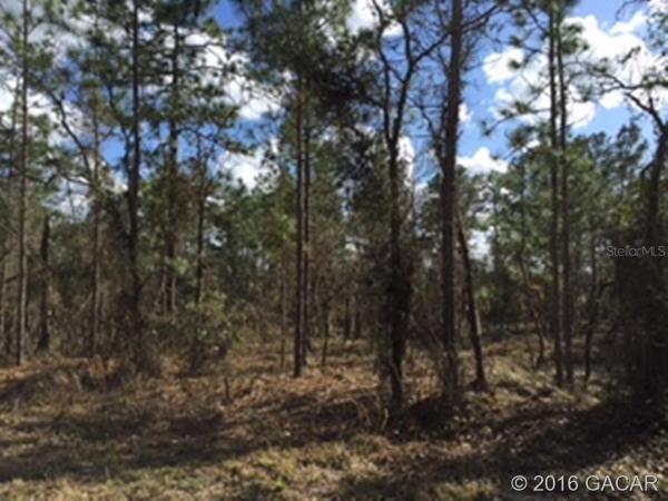 Rainbow Lakes Estates - Levy