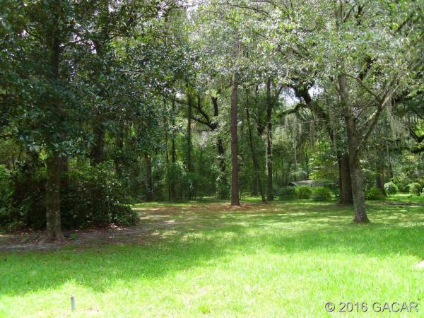 Santa Fe Forest(885)