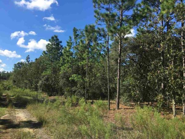 Rainbow Lakes Estates - Levy