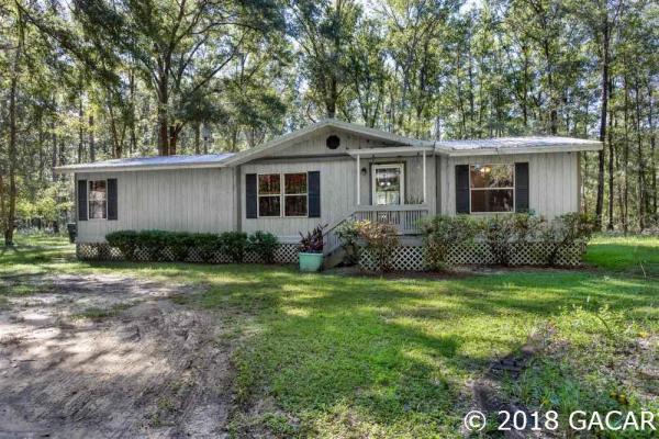 Underwood Hill Forest