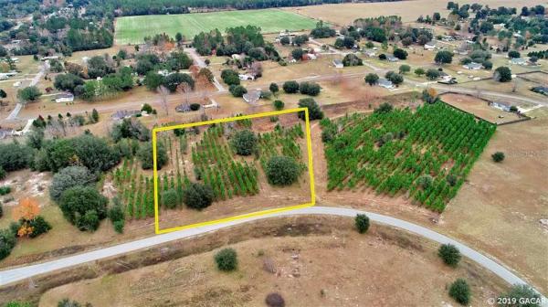 Meadows on the Prairie