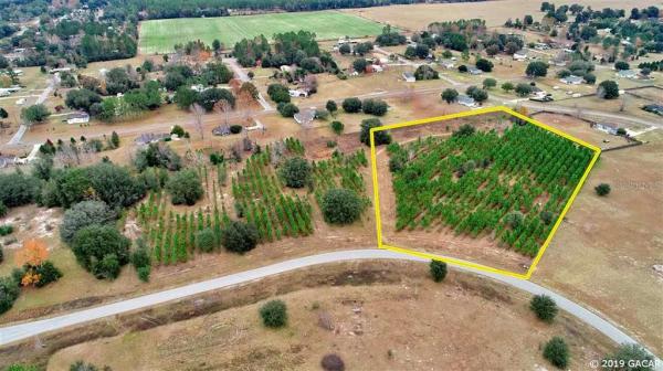 Meadows on the Prairie