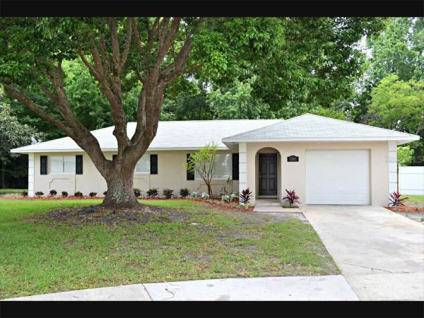 SKY LARK IN THE WOODS