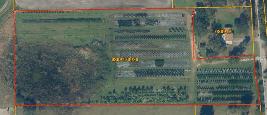 GROVE MANOR - фото