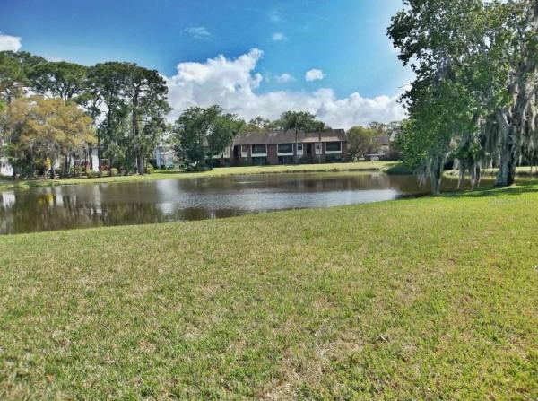 EAST LAKE WOODLANDS CONDO