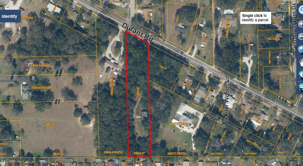 WELLINGTON - фото