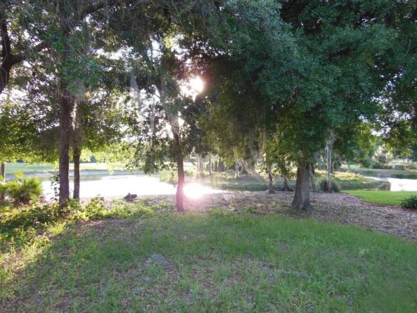 LA PALOMA VILLAGE UNIT 02 PH 02