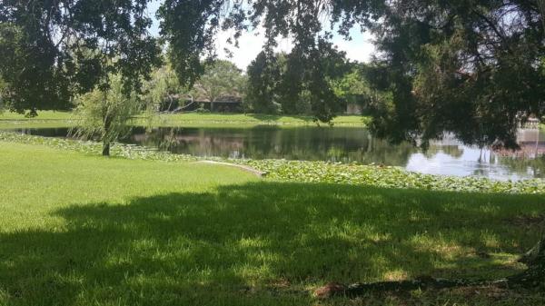 LAKE SEMINOLE VILLAGE