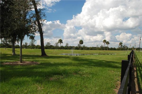 LAKE OLA FARMS & GROVES