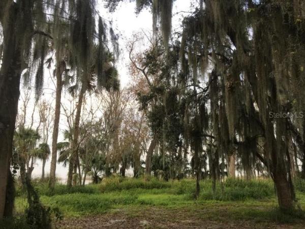 LAKE COVE POINTE PH 02