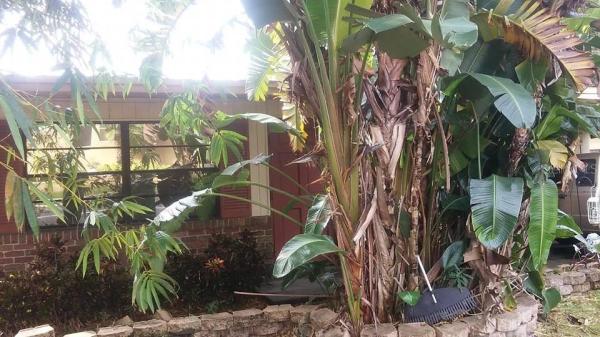 BEL MAR REV UNIT 09 REV MAP