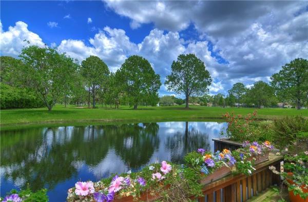 VILLAGE GREEN CONDO/CARROLLWOOD VILLAGE