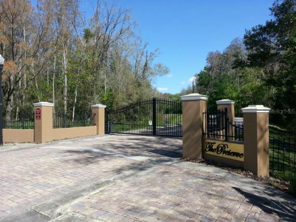 PRESERVE AT CARROLLWOOD VILLAGE