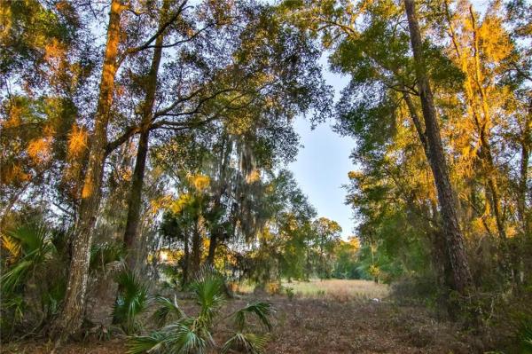 NORRIS DUPONT & GAUDRY GRANT