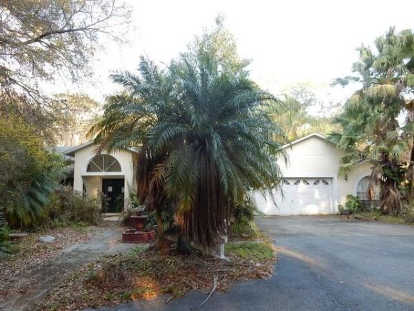 CHENG SURV FOR A MINOR