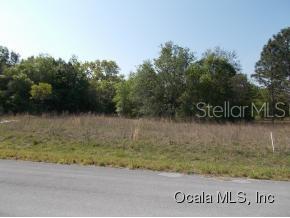 ORANGE BLOSSOM HILLS UN 14