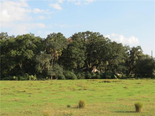 ROBERT O CARTER SR PLATTED