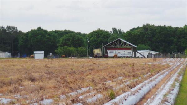 EXPORT FARMS UNIT 03