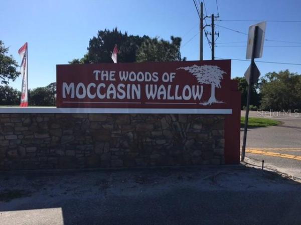 WOODS OF MOCCASIN WALLOW PH I