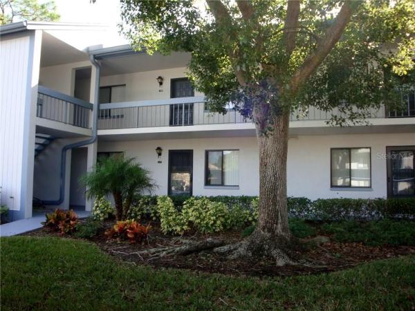 EAST LAKE WOODLANDS CONDO