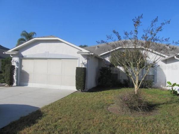 SUMMERTREE 01A PH 01