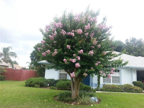 BRENTWOOD HILLS TR B UNIT 02