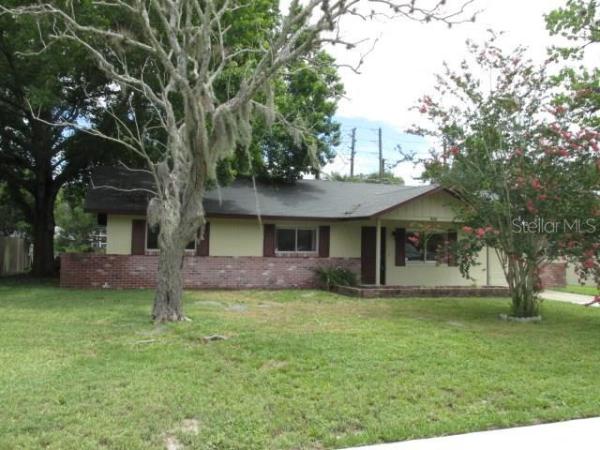 SKY LARK IN THE WOODS