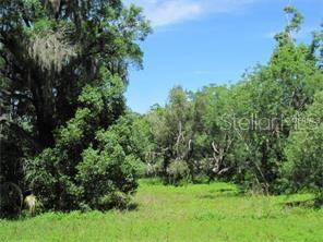 IDLEWILD ON HILLSBOROUGH