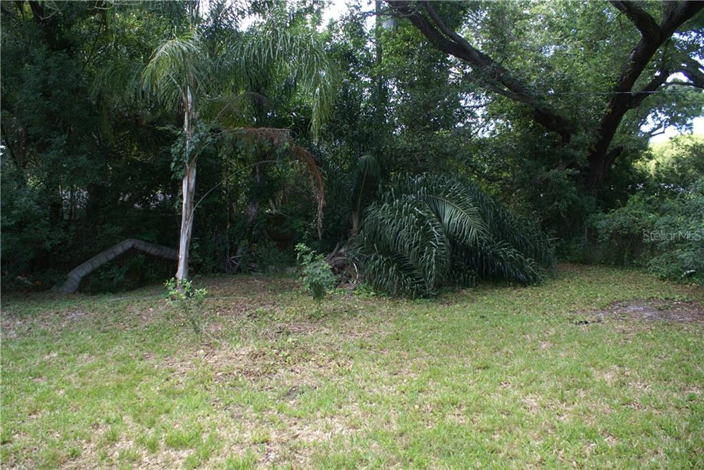 DUNEDIN ISLES 1 - фото