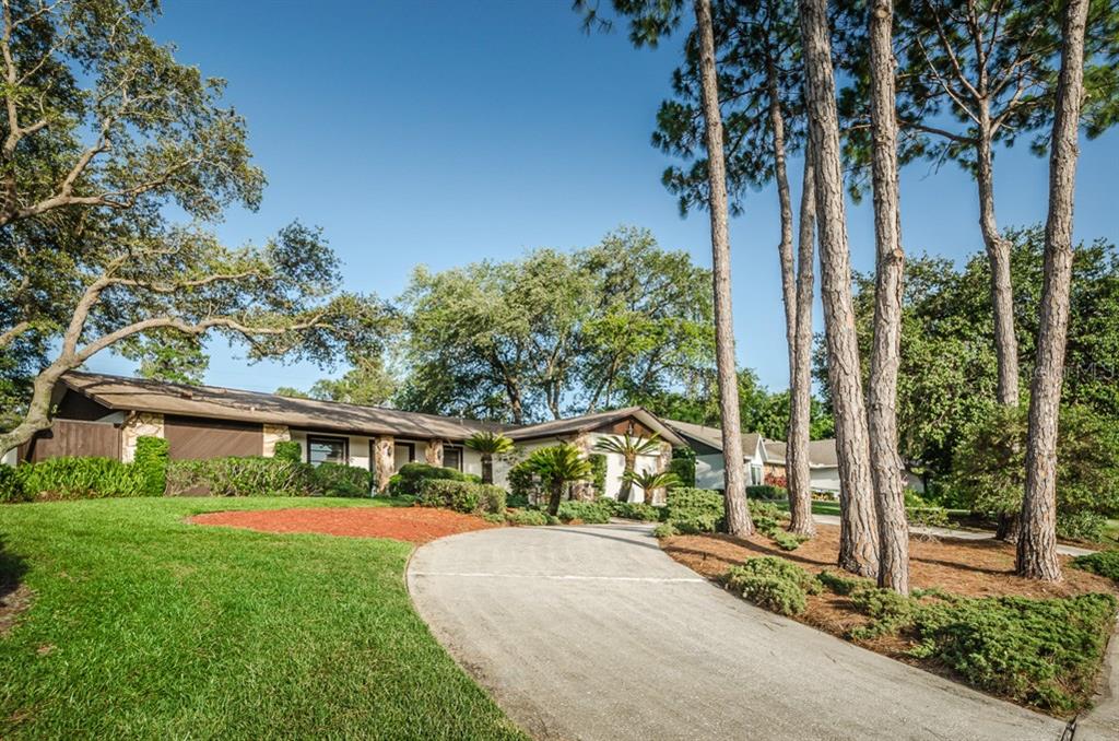 AUTUMN WOODS-UNIT II - фото