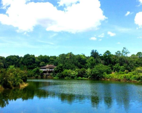 LEVY GRANT MOSES E ASSESSORS REV MAP